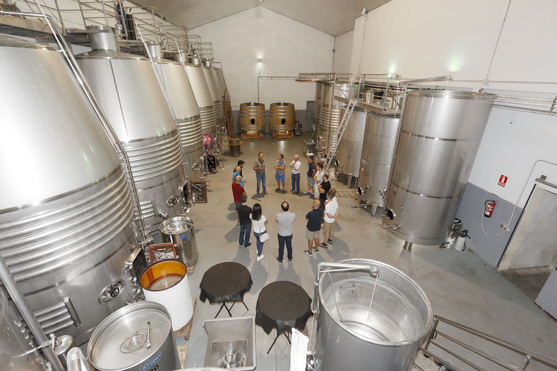 Actividad de elaboración de vino en Rioja Alavesa