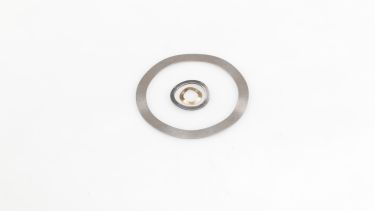 Washer Spring