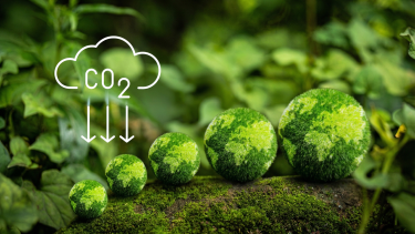 RPK Group achieves 100% renewable energy, cutting carbon footprint by 90%